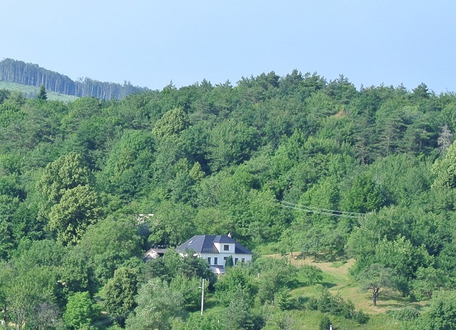 201606040848010.Pod Javorinou.jpg